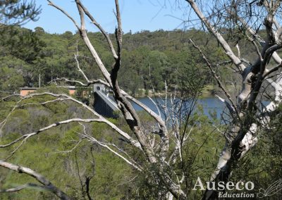 Manly Dam NSW Geography School Excursions Water in the World - Auseco