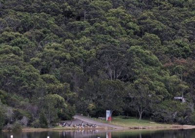 Manly Dam Northern Beaches Geography School Excursions Water in the World - Auseco