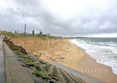 Cronulla Beach Sand Dune Excursion Environmental change and management