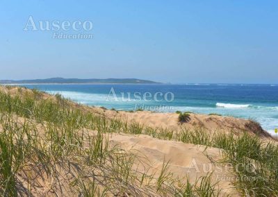 Cronulla Sand Dunes Excursion Environmental Change Management