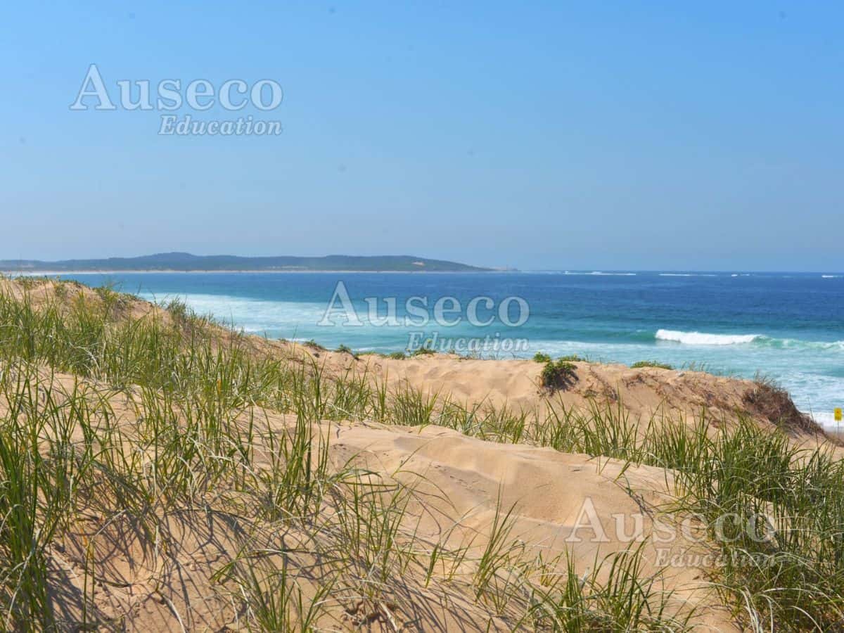 What are the Cronulla Sand Dunes?