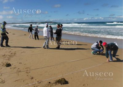 Environmental Change and management Cronulla Beach