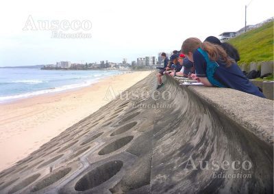 Seabee Wall Cronulla Excursion Auseco Environmental Change