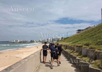 excursion environmental education at Seabee Wall Cronulla